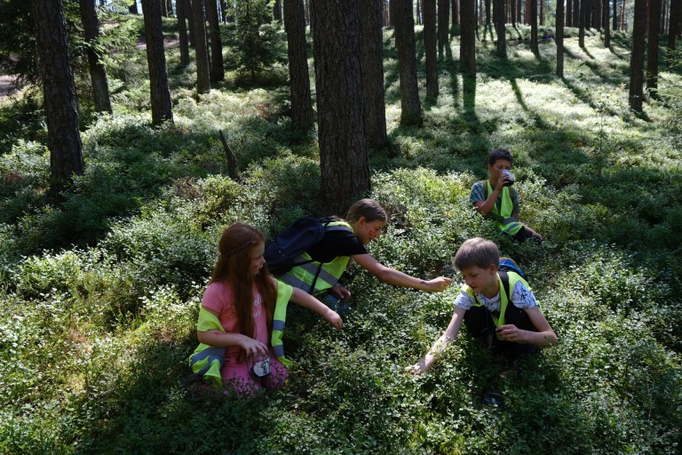 Kardokų Gamtos Akademija