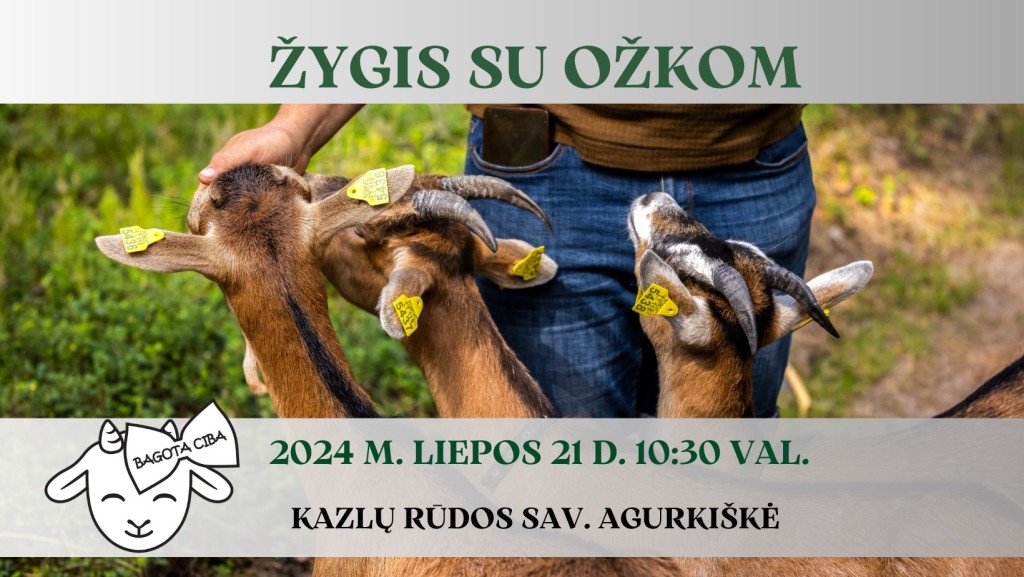 Žygis su ožkom