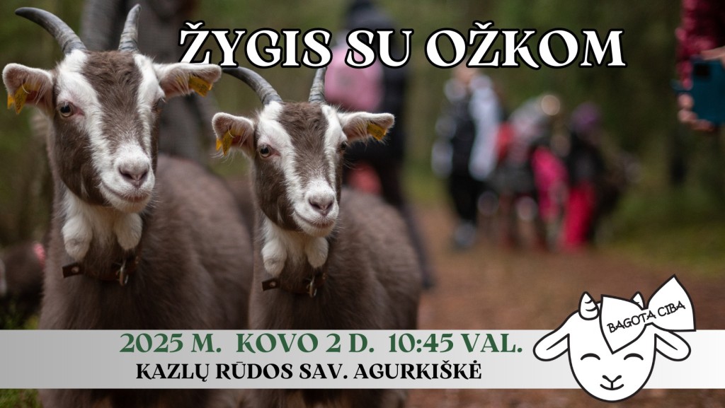 Žygis su ožkom